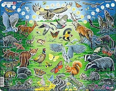 Produktbild von Puzzle - Tiere bei Tag und Nacht