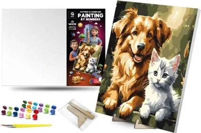 Image de Peinture par numéros - Chat-Chien 40x50cm