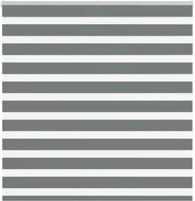 Produktbild von Möbel Zebrarollo Dunkelgrau 150x150 cm Stoffbreite 145,9 cm Polyester 4014141