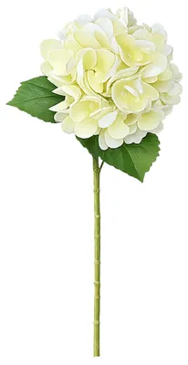 Produktbild von G.blümt Künstliche Hortensien 64 cm lang, Kunstblumen Real Touch wie echt, Weiß 1 Stück, KI-generiertes Bild