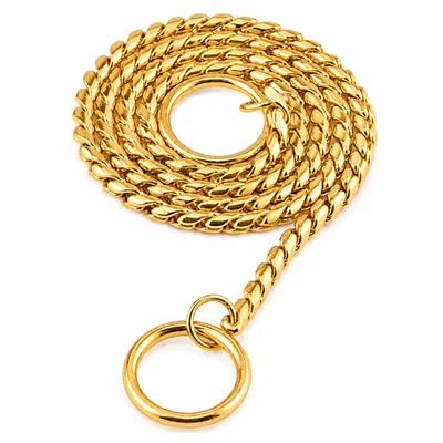 Kettenhalsband für Hunde 60 cm 5 mm Gold auf Weiß