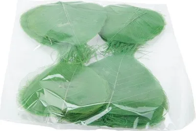 Produktbild von Skelettblätter, in vielen Farben zur Auswahl, verpackt mit 200 Stück | Willowblätter, Farbe:Apfelgrün