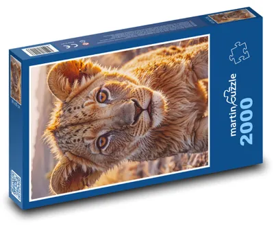 Obrázok produktu pre martinpuzzle - Puzzle 2000 - Lev - mláda leva