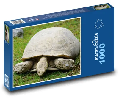 Zdjęcie produktu dla Puzzle 1000 Żółw na Zielonej Łące - martinpuzzle