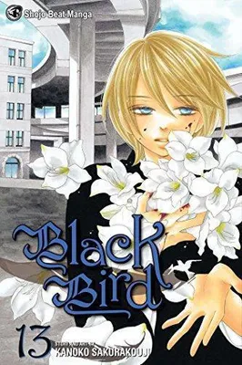 Produktbild von Black Bird, Vol. 13