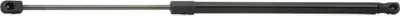 Produktbild von RIDEX 219G0269 Gasfeder Heckklappendämpfer für FORD ESCORT IV (GAF, AWF, ABFT) 544mm