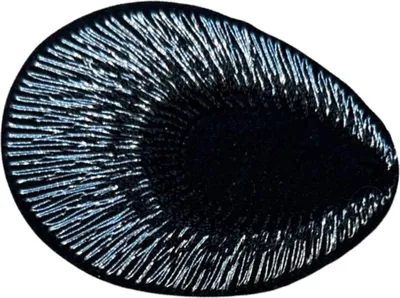 Produktbild von Pfauen-Alienauge-Emblem-Aufnäher zum Aufbügeln