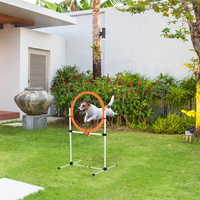 Produktbild von SUGIFT Agility Sprungring für Hunde 2-in-1, Hundeagility Set, Sprungringstange, PE-Kunststoff, Weiß+Orange | 74,5 x 66 x 91 cm | Höhe 15–60 cm | 1,5 kg