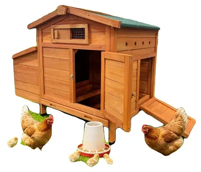 Obrázek produktu pro Kurník, dřevěná konstrukce, zvýšený design, snadný přístup pro čištění, bezpečnostní západka, pohodlí pro slepice
