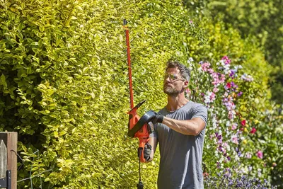 Obrázok produktu pre Black & Decker BEHTS551, 60 cm, Dvojité ostrie, Čierna, Oranžová, 2,5 cm, 650 W