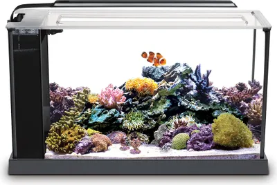 Produktbild von AQUARIEN Fluval Evo Meeresaquarium, Schwarz, 19L