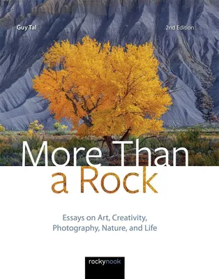 Produktbild von More Than a Rock