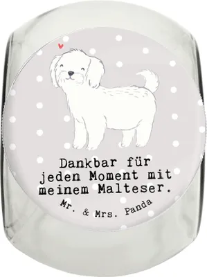 Produktbild von Mr. & Mrs. Panda Dose Malteser Moment L 870ml - Grau Pastell - Geschenk, leckerlidose, Vorratsbehälter, Dekoglas, Keksdose, Aufbewahrungsdose