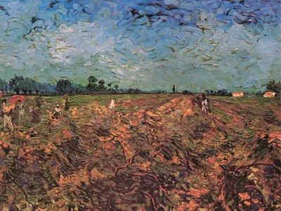 Zdjęcie produktu dla Vincent Van Gogh Art Print Obraz - Zielona winnica, 1888 (60 x 80 cm)