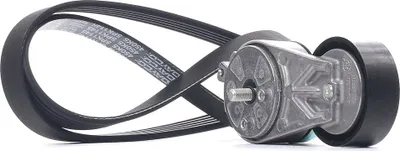 Produktbild von DAYCO KPV384 Keilrippenriemensatz für FIAT PANDA (169)
