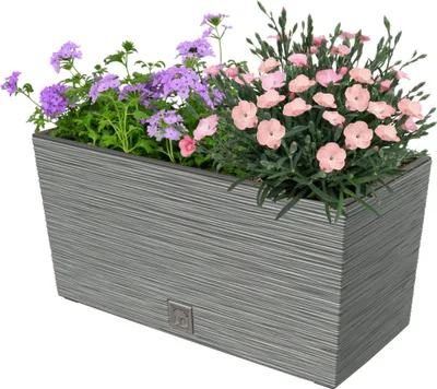 Produktbild von Blumenkasten Meißel Balkonkasten Pflanzkasten Grau L 39,5 cm mit Topf Einsatz Pflanzkübel Einzigartiger Blumentopf Kunststoff