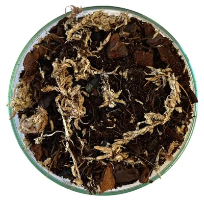 Obrázek produktu pro Gardners Substrát pro orchideje a další epifytní rostliny, 1 l - BEZ OBALU