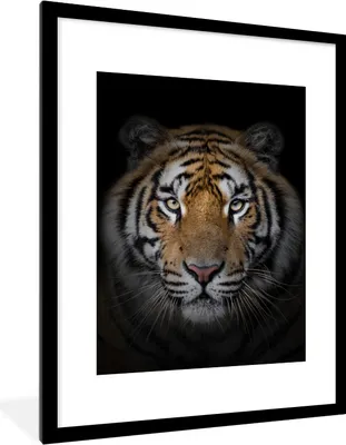 Produktbild von MuchoWow® Gerahmtes Poster Tiger - Wildtiere - Porträt - Schwarz - Tiere 60x80 cm - Poster mit Schwarzem Bilderrahmen Wandposter Rahmen Foto Bilder - Wohnzimmer - Dekorationen - Prämie