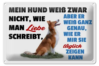 Produktbild von Blechschild Spruch 30x20cm mein Hund weiß zwar Hundeliebe