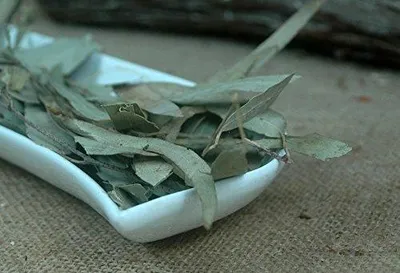 Zdjęcie produktu dla Liście eukaliptusa całe 100 g zioła herbata do parzenia naturalny
