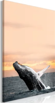 Produktbild von Vlies Leinwandbild - Dance at Dawn (1 Part) Vertical 40x60 cm Tiere g-C-0235-b-a