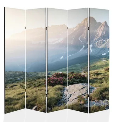 Produktbild von framed concept - Paravent Raumteiler Holz 225x172 cm, 5-teilig beidseitig, Sichtschutzwand