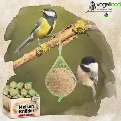 Two birds are perched on a branch near a bird feeder filled with seed balls. A box of bird food is in the foreground.