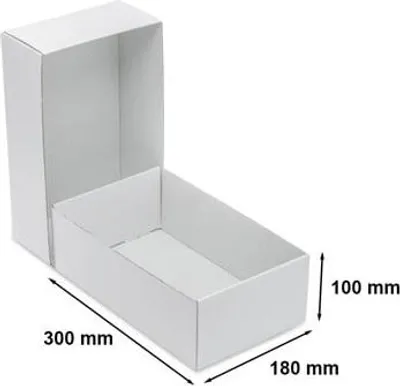 Zdjęcie produktu dla Karton Wykrojnikowy Pudełko Kartonowe Kartonik 300x180x100mm F330 Biały