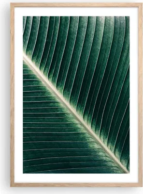 Produktbild von Gerahmtes Poster - Rahmen in heller Eiche - Grün Blatt Tropisch - 50x70 cm - Wand Bild - Wanddeko - Wandbilder - Wandposter - Bilderrahmen - Bilder - Kunstdruck - Wandbild - P2NPA50x70-4126