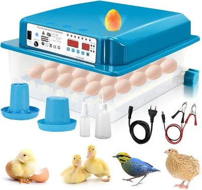 Obrázok produktu pre Inteligentný inkubátor na 36 vajec s automatickým systémom otáčania vajec a LED displejom