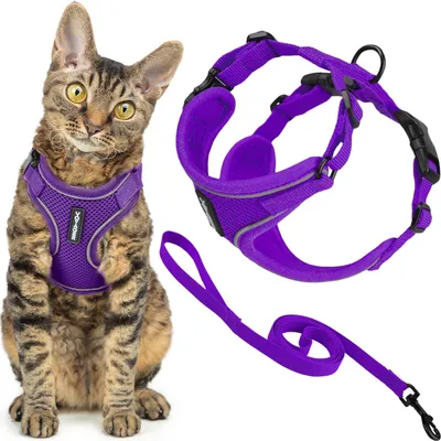 Image de Harnais et laisse pour chat antiefraction, ensemble avec coutures réfléchissantes