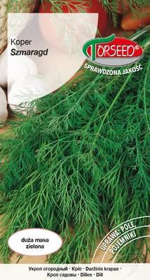 Produktbild von Samen von Dill Emerald 5g - Torseed