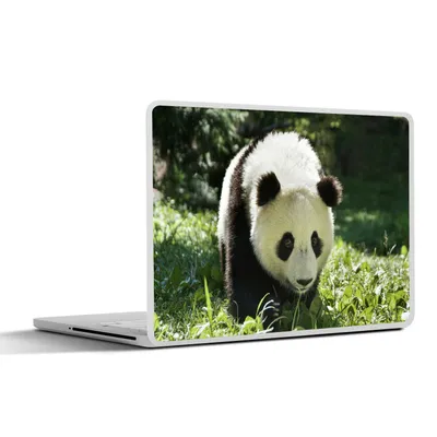 Produktbild von MuchoWow® Laptop Aufkleber Sticker Cover Panda - Gras - Tier 30x21 cm - Sticker für Laptop - Selbstklebend