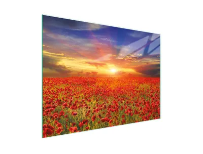 Produktbild von Schneidebrett Herdabdeckplatte Multiglasschneidplatte 30x22 cm Landschaft Mohnblumen