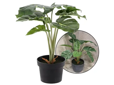 Obrázok produktu pre Umelá črepníková rastlina - monstera 42 cm