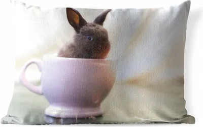 Produktbild von MuchoWow® Outdoor Kissen - Kaninchen - Baby - Teetasse - 60x40 cm - Wetterfest - Lounge Kissen - Zierkissen - Kissen für Innenräume