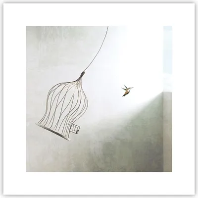Produktbild von Poster - Poster ohne Rahmen - Flug Vogel Käfig - 30x30 cm - Wand Bild - Wanddeko - Wandbilder - Kunstposter - Wandposter - Bilder - Kunstdruck - Wanddekoration - Wandbild - P2XAC30x30-5085