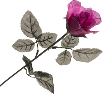 Image de Lila Rose, longueur 65 cm - taille unique