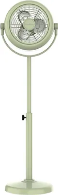 A light green stand fan against a white background.