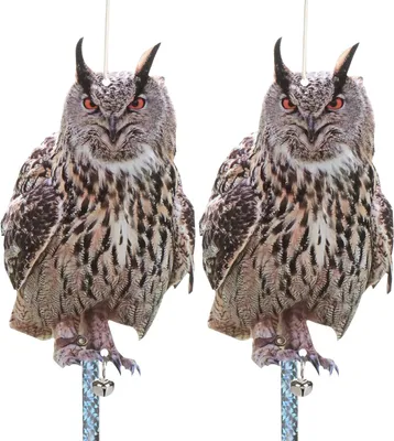 Produktbild von Vogelscheuche mit Taubenabwehrstreifen, Vogelabwehr, Vogelscheuche, Vogelscheuche, hält Tauben, Katzen und Krähen von Balkonen, Terrassen und Fenstern fern, 2er-Set Eulen