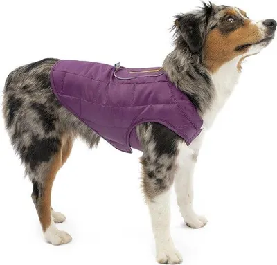 Immagine prodotto di Cappotto impermeabile per cani Cappotto invernale reversibile Collare leggero