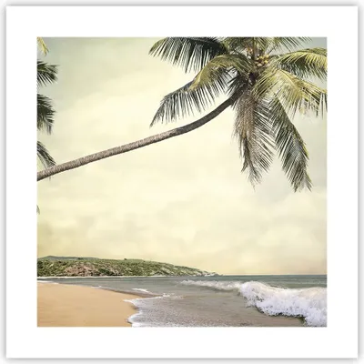 Produktbild von Poster - Poster ohne Rahmen - Palme Strand Insel - 40x40 cm - Wand Bild - Wanddeko - Wandbilder - Kunstposter - Wandposter - Bilder - Kunstdruck - Wanddekoration - Wandbild - P2XAC40x40-4154