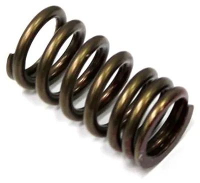 Image de ressort de soupape d'échappement pour moto, compatible avec Kawasaki KXF 250 et Suzuki GSX-R 750
