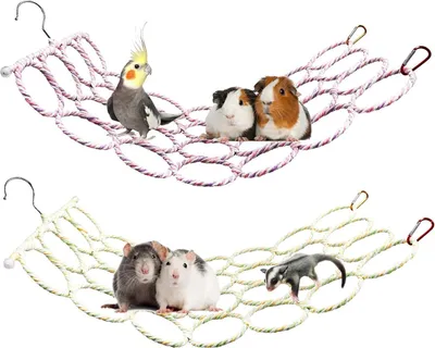 Produktbild von Allecto Premium - Hängendes Rattennetz und Vogelspeelzeug - Kletterleiterbrücke für kleine Tiere | Käfigzubehör zum Klettern und Spielen - 2 Stück