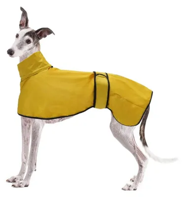 Immagine prodotto di Impermeabile per cani, regolabile, riflettente, giallo, taglia L (lunghezza del dorso: 61-64 cm)