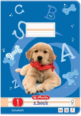 Produktbild von Schulheft A4 16 Blatt Lineatur 01 Packung mit 10 Stück