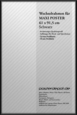 Produktbild von Bilderrahmen f. Maxi Poster - Größe 61 x 91,5 cm - Antireflex Acrylglas