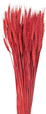 Zdjęcie produktu dla Suszone kwiaty Clayre & Eef 80 cm Czerwone suszone kwiaty