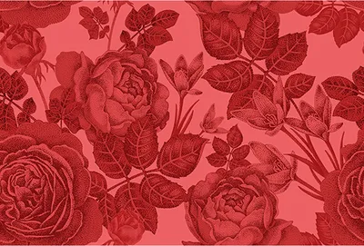 Produktbild von Tadessi Fototapete | Blumen | 4.00 m x 2.70 m | Rot |  | Wandbild | Digitaldruck