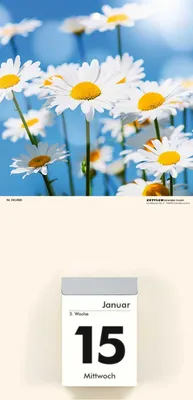Zdjęcie produktu dla ZETTLER 609774 Okładka kalendarza kwiaty - 14,5 x 29,5 cm, 2 kolory w asortymencie